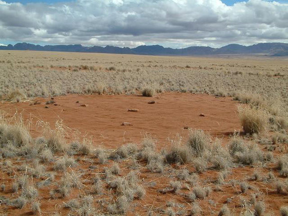 extraños-circulos-de-hadas-en-namibia-2