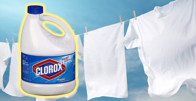 panamen%cc%83adas-dichas-01