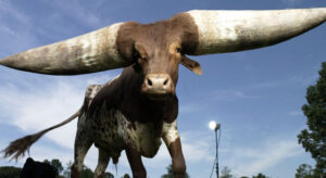 Animales que parecen de mentira parte 1