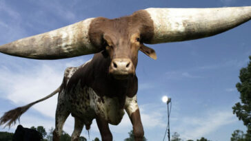 15 animales raros que parecen de mentira