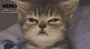 Lunes